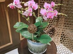大堂-王品牛排(上海仙霞店)
