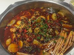 -川囧肥肠鸡·美蛙鱼锅(平高广场店)