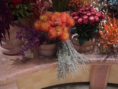 -BEAST野兽派(上海浦东嘉里城店)