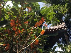 -青岛崂山太清宫