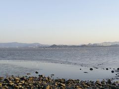 -深圳湾公园(南山区)