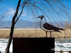 -野鸭湖国家湿地公园