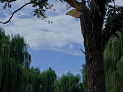 -三里河公园