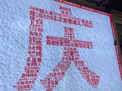 -朱氏胖子烂火锅(洪崖洞店)