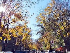 -大象厨房(重庆道店)