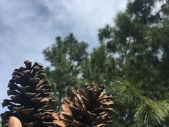 -白塘生态植物园