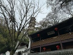 -江心屿景区