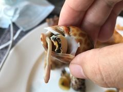 -前海华侨城JW万豪酒店·都会尚膳自助餐厅·牛排海鲜酒水畅飨