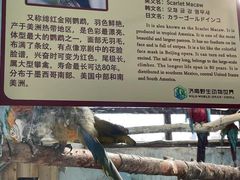 -济南野生动物世界