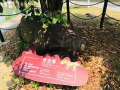 -金钉子远古世界景区