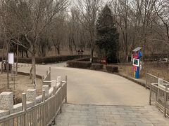 -塘沽森林公园