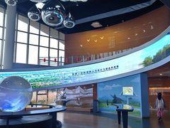 -漩门湾国家湿地公园