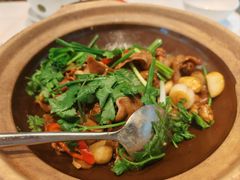 生啫雪花牛舌-顺味凤城(九六广场店)