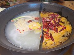 -阳阳老火锅(小南门店)