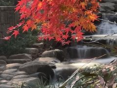 -中国茶叶博物馆(双峰馆区)