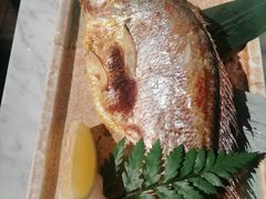 -阿吾罗日本料理(K11艺术中心店)