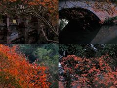 -田野绿世界