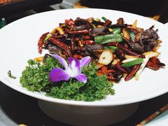 -云海肴·汽锅鸡·云南菜(南强街店)