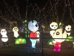 -祥源·阜阳生态乐园