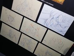 -东京塔海贼王主题公园