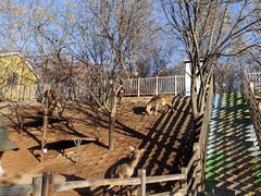 -北京鹿世界主题园