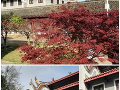 -岳麓书院