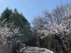 -阳台山自然风景区