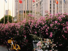 -南京国际青年文化中心
