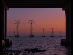 -宝安西湾红树林湿地公园