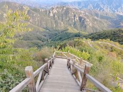 -大岭沟猕猴桃谷风景区