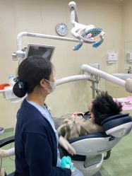 -上海首尔丽格医疗美容医院