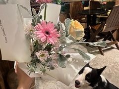 -自由生长植物工作室(深港花卉中心店)