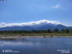 -马楼鱼庄(蓝田)