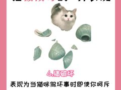 -纳吉亚猫专科动物诊疗中心(蒋宅口分院)
