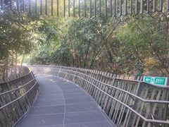 -福道