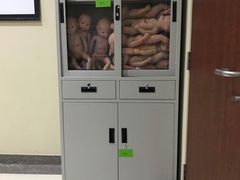 -浙江大学医学院附属邵逸夫医院(钱塘院区)