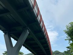 -王借岗森林公园