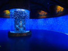 -波塞冬旅游度假区