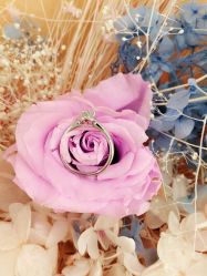 -钻石小鸟钻戒婚戒定制(石路店)