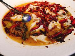 -九毛九西北菜(百信广场店)