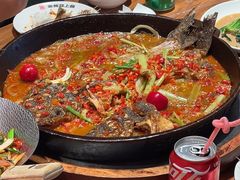 -老板恋上鱼(恒隆广场店)