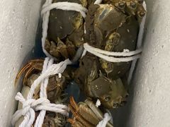 -黄记大闸蟹专卖店·活蟹·醉蟹