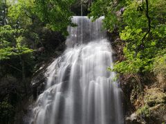 -大围山国家森林公园