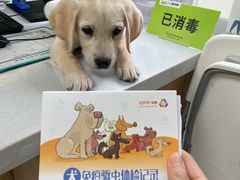 -瑞鹏宠物医院犬猫全科(真大分院)