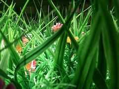 -湘邻呷铺·田园家宴(汉基广场店)