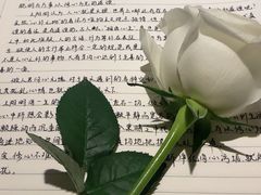 -儒之堂·足道养生SPA影院式(万融城店)