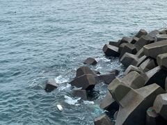 -八大峡公园