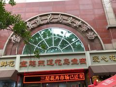 -宝鸡东道花鸟鱼虫市场(吉利花园商场店)