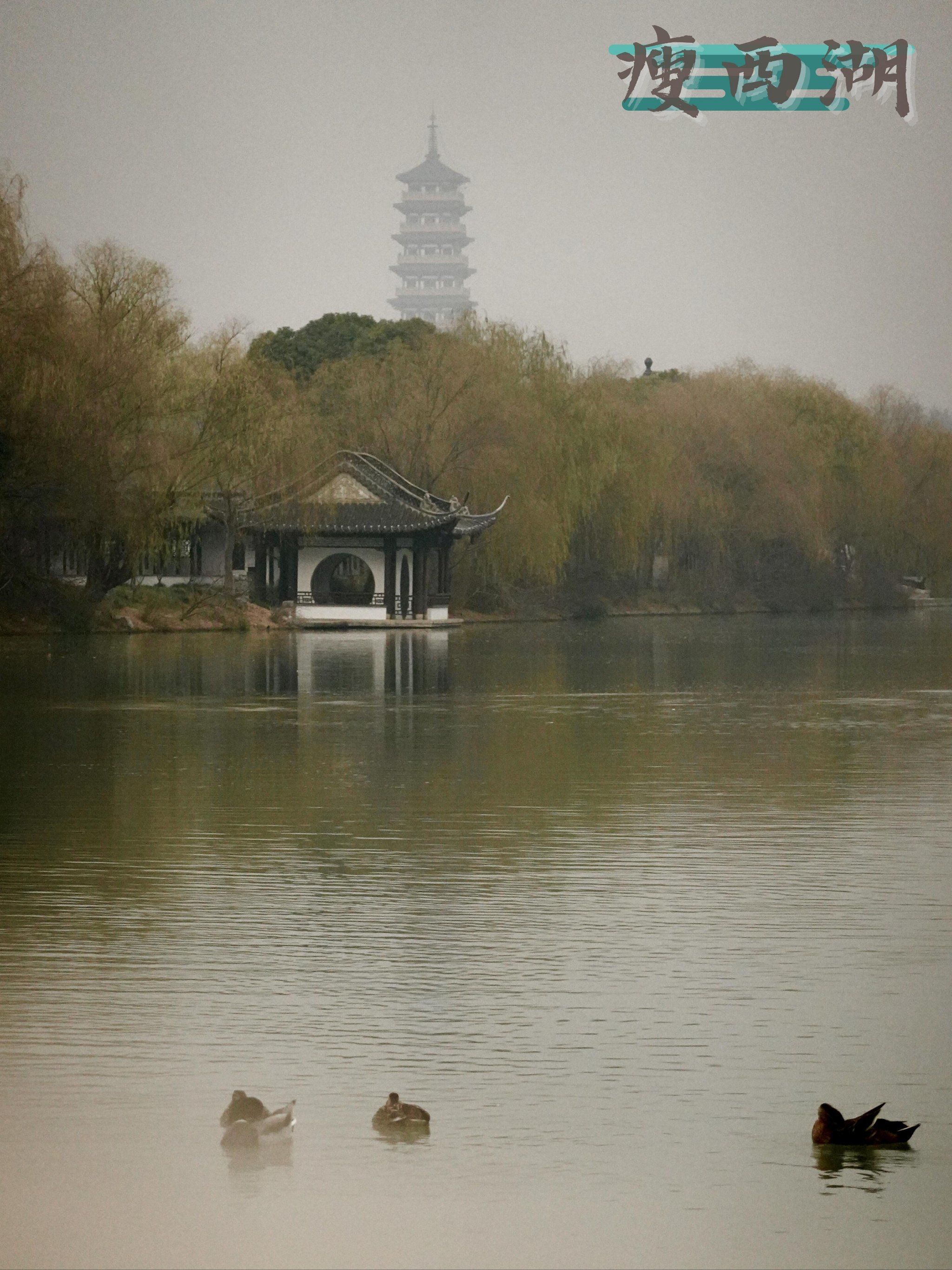 瘦西湖冬日的冷冽之美