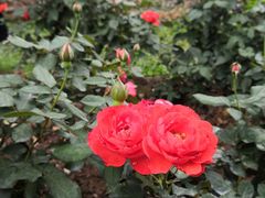 -人民公园(罗湖区)